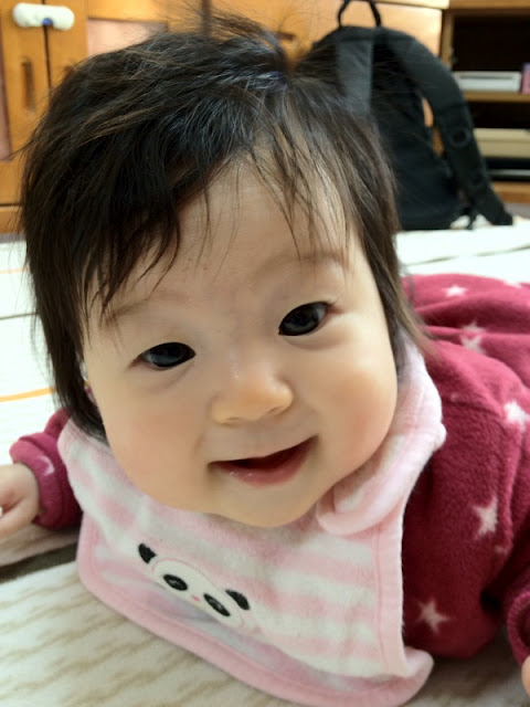 【ほぼ日嬉志屋】2012/01/05 – 焼とり『なか田』