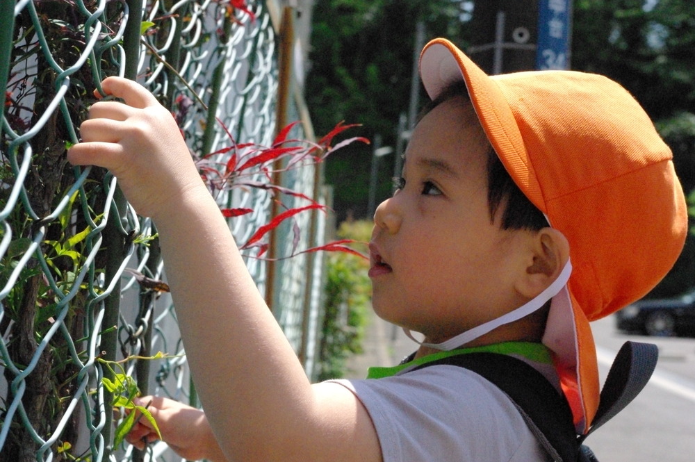 20110508：お写ん歩