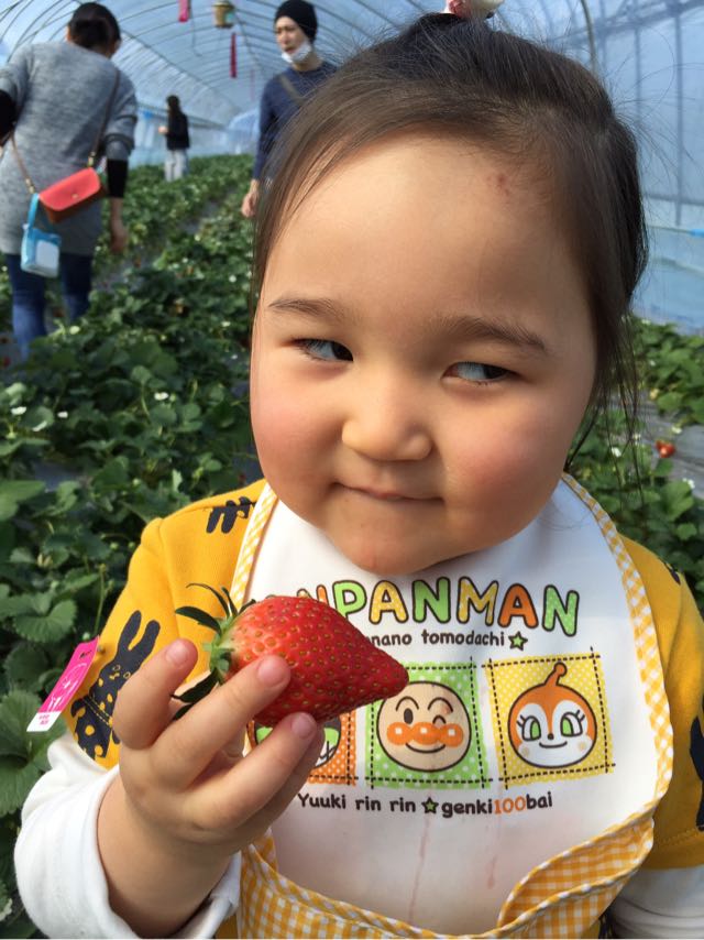 イチゴをもぎ取ってニヤリゆのさん