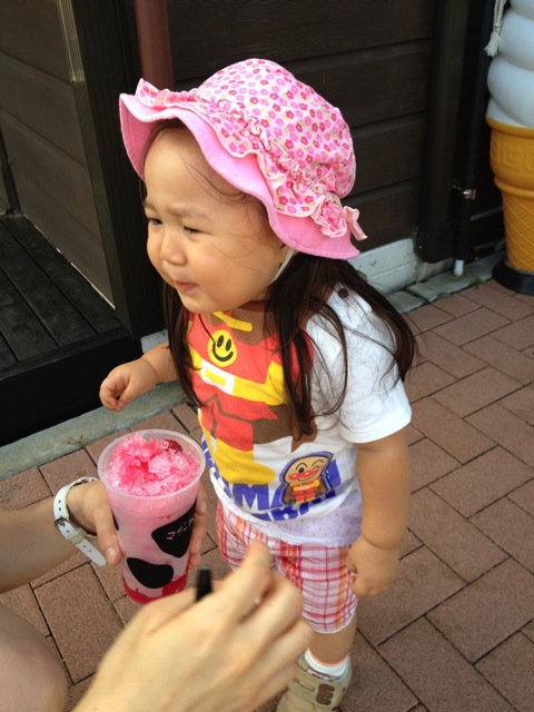 IMG_2509.JPG IMG 2509