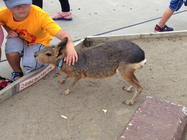 IMG_2522.JPG IMG 2522