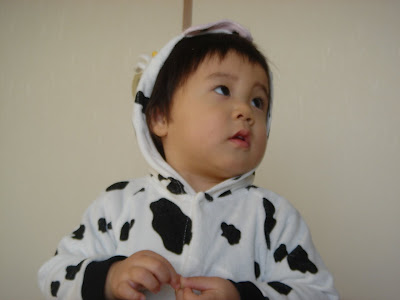 【2009年】謹賀新年