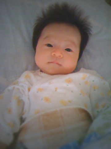 20110828:そろそろ夏も終わり？