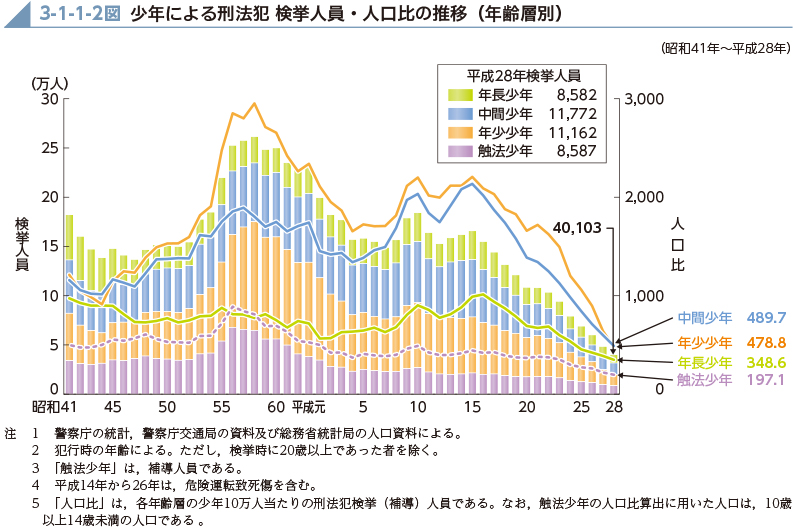 平成29年版 犯罪白書