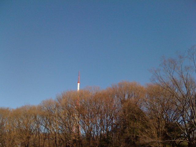 【ほぼ日嬉志屋】20110117：公園ランニングデビュー・Twitterで「逢いましょう」