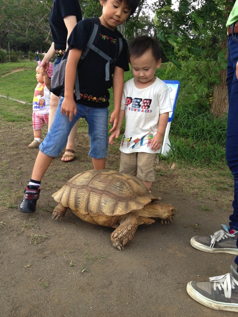 IMG_2516.JPG IMG 2516