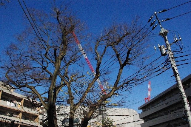 【ほぼ日嬉志屋】20110105：「公開前提型ライフログ」をテキトーにやってみる