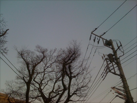 MomentDiary: 2011年2月5日